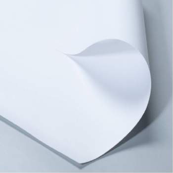 trasera papel fotográfico