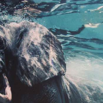 impresión directa en polipropileno