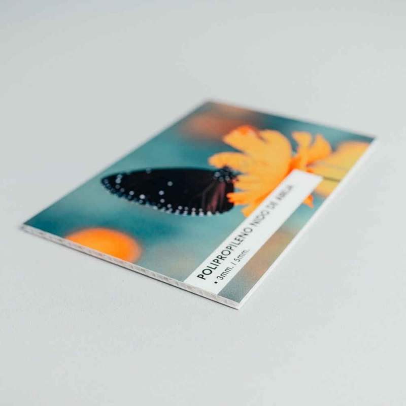 Detalle polipropileno alveolar o nido de abeja