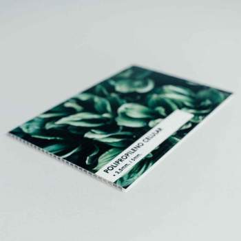 Detalle polipropileno celular