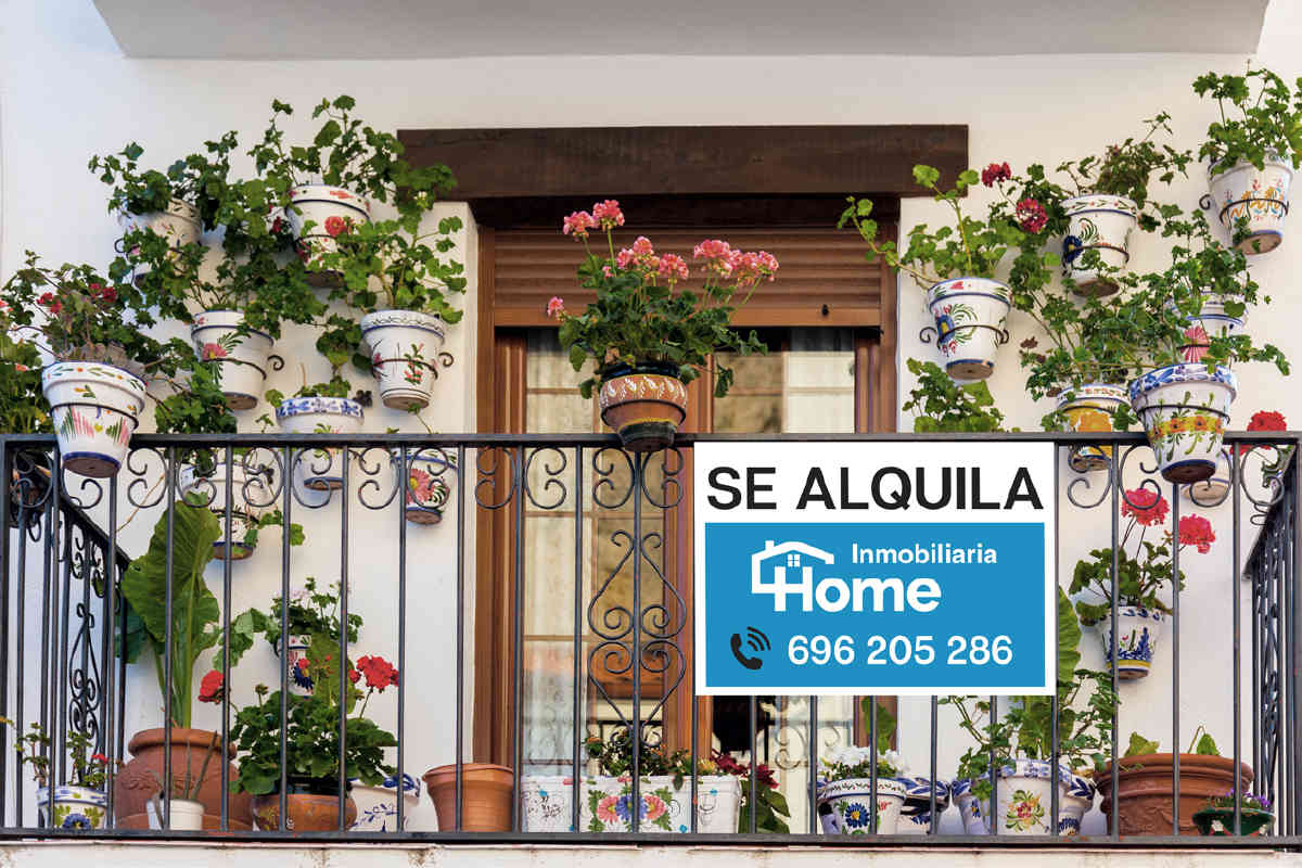 Carteles de inmobiliaria baratos